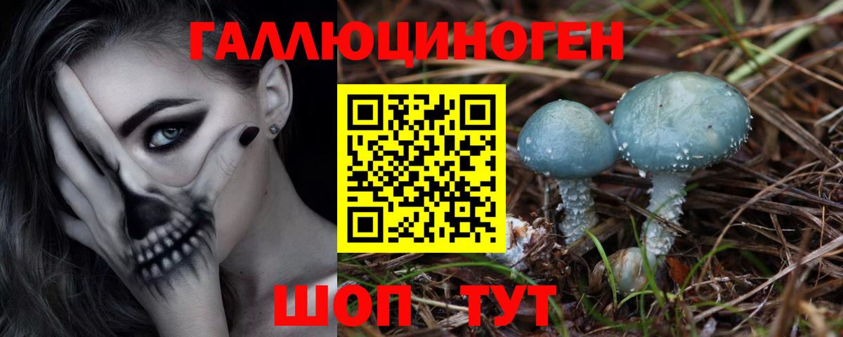 Острогожск  Галлюциногенные грибы Psilocybine cubensis  Вход с VPN  Псилоцибиновые грибы MAGIC MUSHROOMS 
